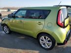 KIA SOUL + photo