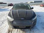 FORD FUSION SE photo