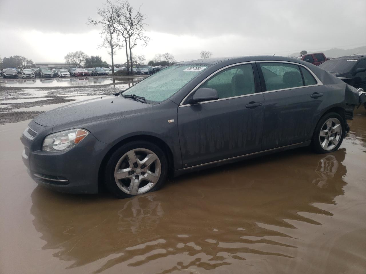 1G1ZH57B984168172 2008 Chevrolet Malibu 1Lt