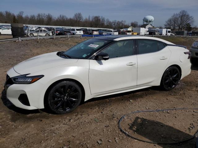 Lot #2503573987 2019 NISSAN MAXIMA SR salvage car