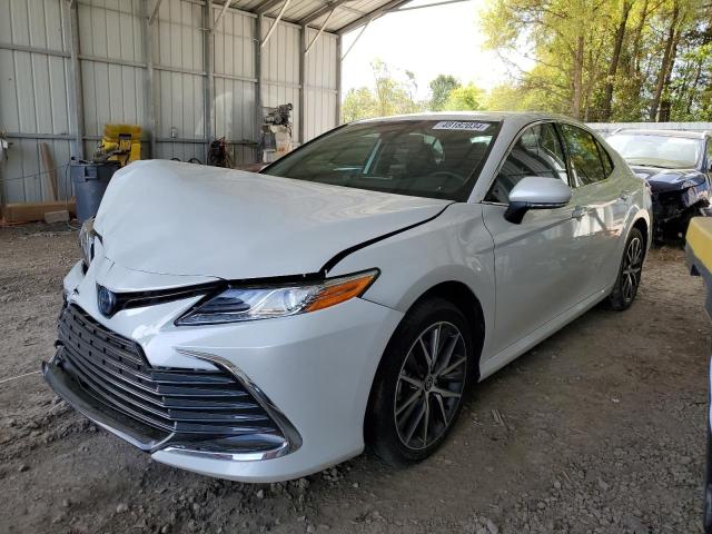 Lot #2503384435 2023 TOYOTA CAMRY XLE salvage car
