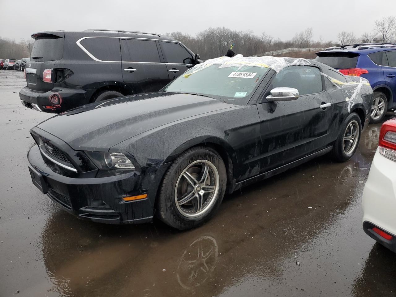 Lot #2489517270 2014 FORD MUSTANG