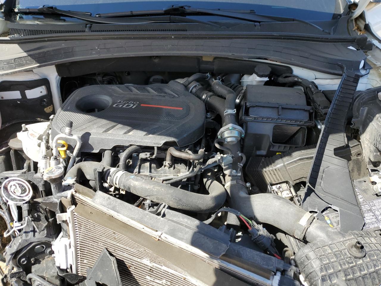 5NMS5CAAXLH301754 2020 Hyundai Santa Fe Limited