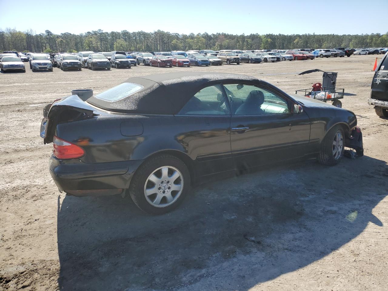 WDBLK65G53T138831 2003 Mercedes-Benz Clk 320