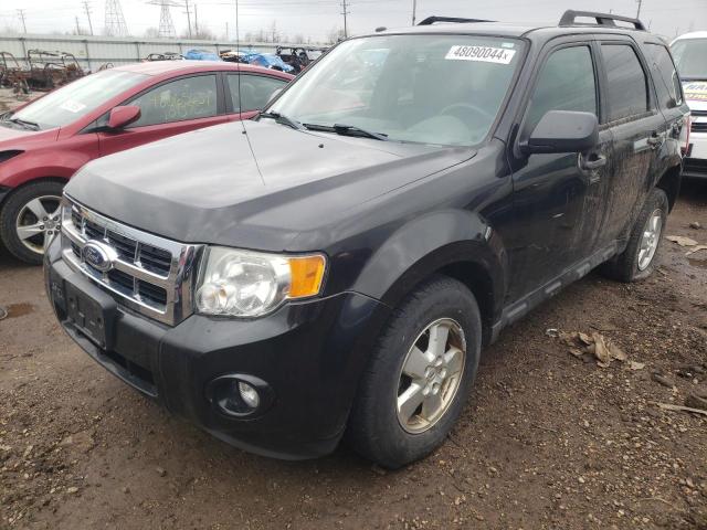 Lot #2422907660 2011 FORD ESCAPE XLT salvage car