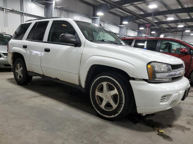 2006 Chevrolet Trailblazer Ls VIN: 1GNDT13S262110290 Lot: 45202364