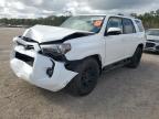 Lot #3024850485 2022 TOYOTA 4RUNNER SR