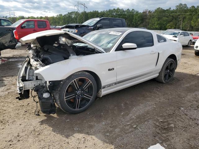 Lot #2487438547 2013 FORD MUSTANG GT salvage car