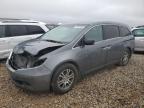 HONDA ODYSSEY EX