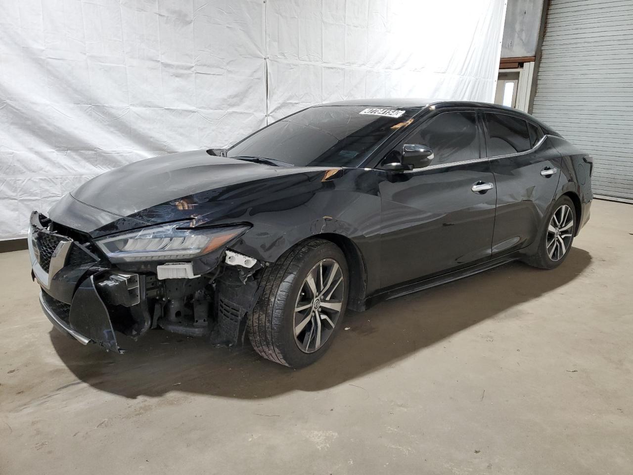 Lot #2489345903 2022 NISSAN MAXIMA SV