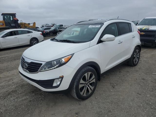 Lot #2459913583 2012 KIA SPORTAGE E salvage car