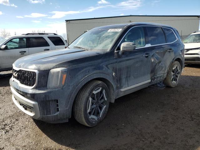 2023 Kia Telluride Ex VIN: 5XYP3DGC5PG397268 Lot: 46106254