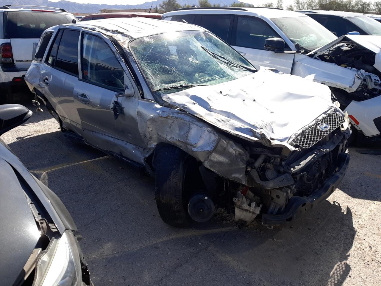 KM8SB12B24U646092 2004 Hyundai Santa Fe Gl