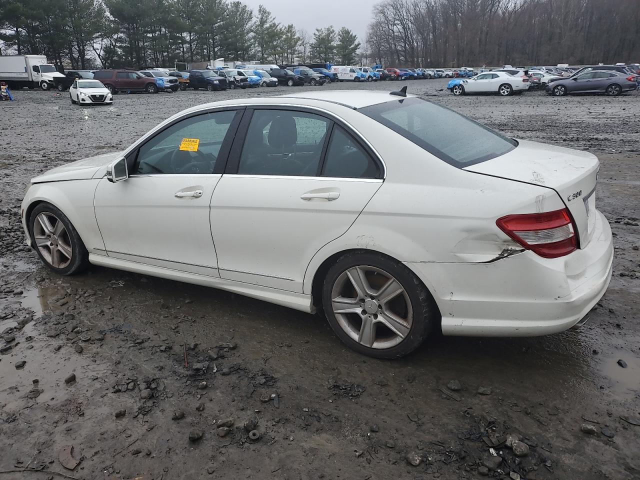 WDDGF8BB8AF401455 2010 Mercedes-Benz C 300 4Matic