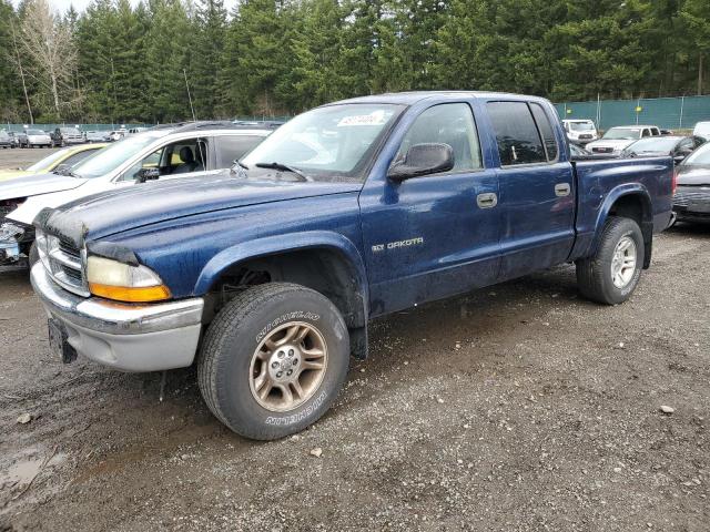 Lot #2423721385 2002 DODGE DAKOTA QUA salvage car