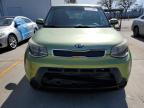 KIA SOUL photo