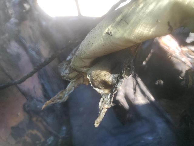 2014 BMW 328 I VIN: WBA3A5G54ENP32549 Lot: 48851514