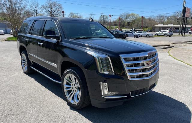 Lot #2428913819 2019 CADILLAC ESCALADE P salvage car