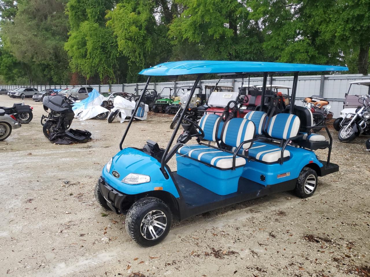 VIN: 1H9AE43S9NA666410 2022 HAHM GOLFCART