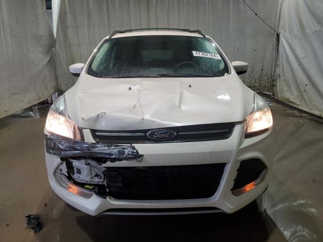 1FMCU9GX0DUB03616 2013 Ford Escape Se