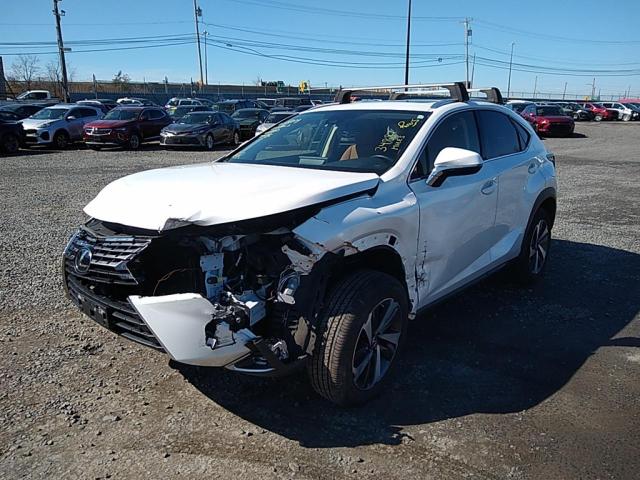 Lot #2391996748 2021 LEXUS NX 300 BAS salvage car