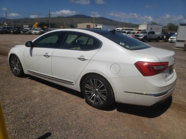 2014 Kia Cadenza Premium VIN: KNALN4D70E5121664 Lot: 47996274