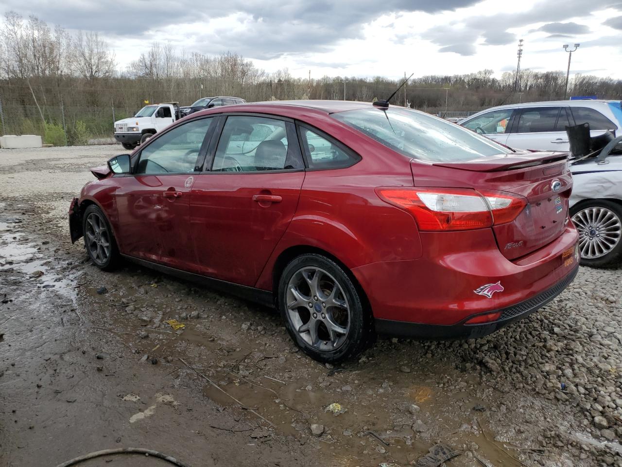 2014 Ford Focus Se vin: 1FADP3F29EL216156