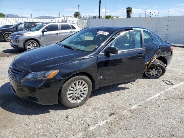 Lot #2522197822 2009 TOYOTA CAMRY BASE salvage car