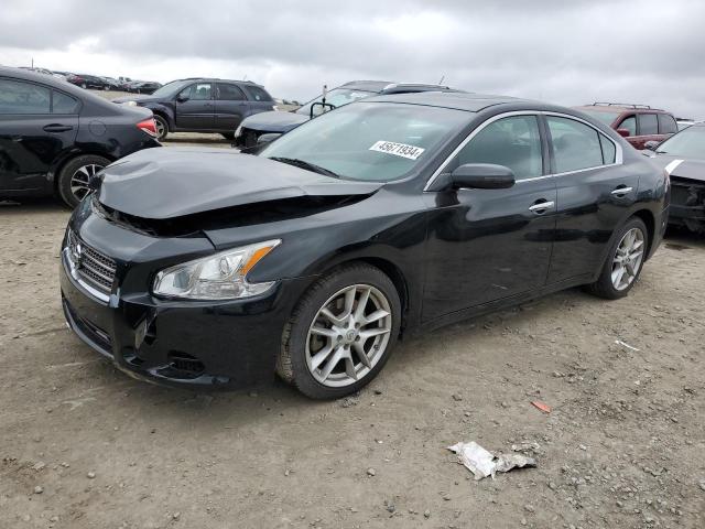 Lot #2542452030 2009 NISSAN MAXIMA S salvage car