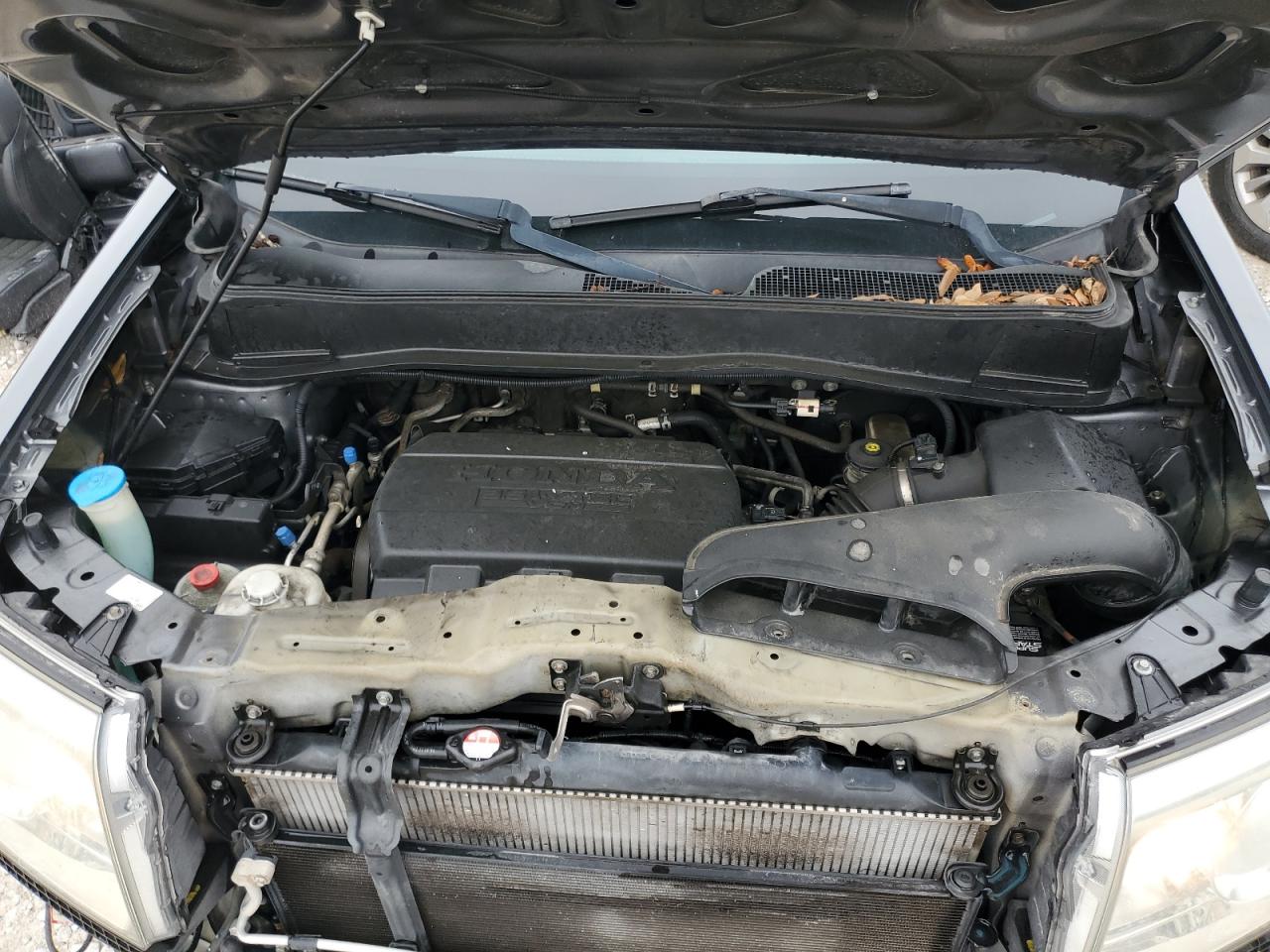 5FNYF3H59BB057465 2011 Honda Pilot Exl