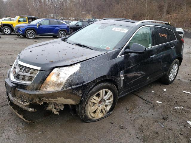 Lot #2519481809 2010 CADILLAC SRX LUXURY salvage car