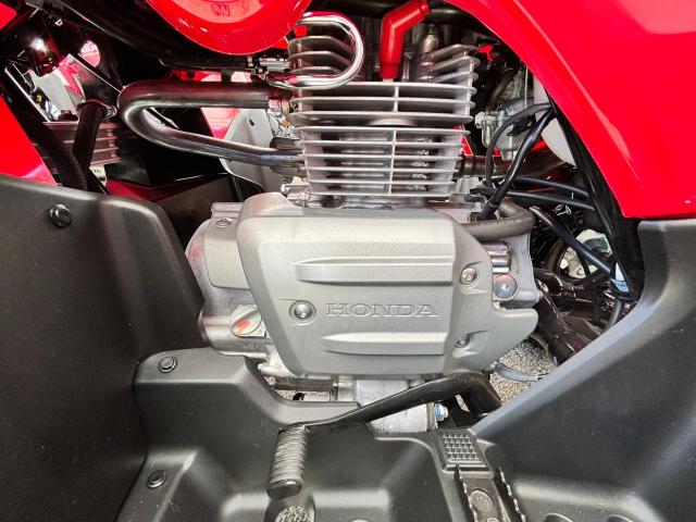 2021 HONDA TRX250 TM 1HFTE21C5M4501327