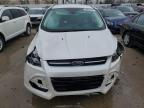 Lot #3023903210 2016 FORD ESCAPE TIT