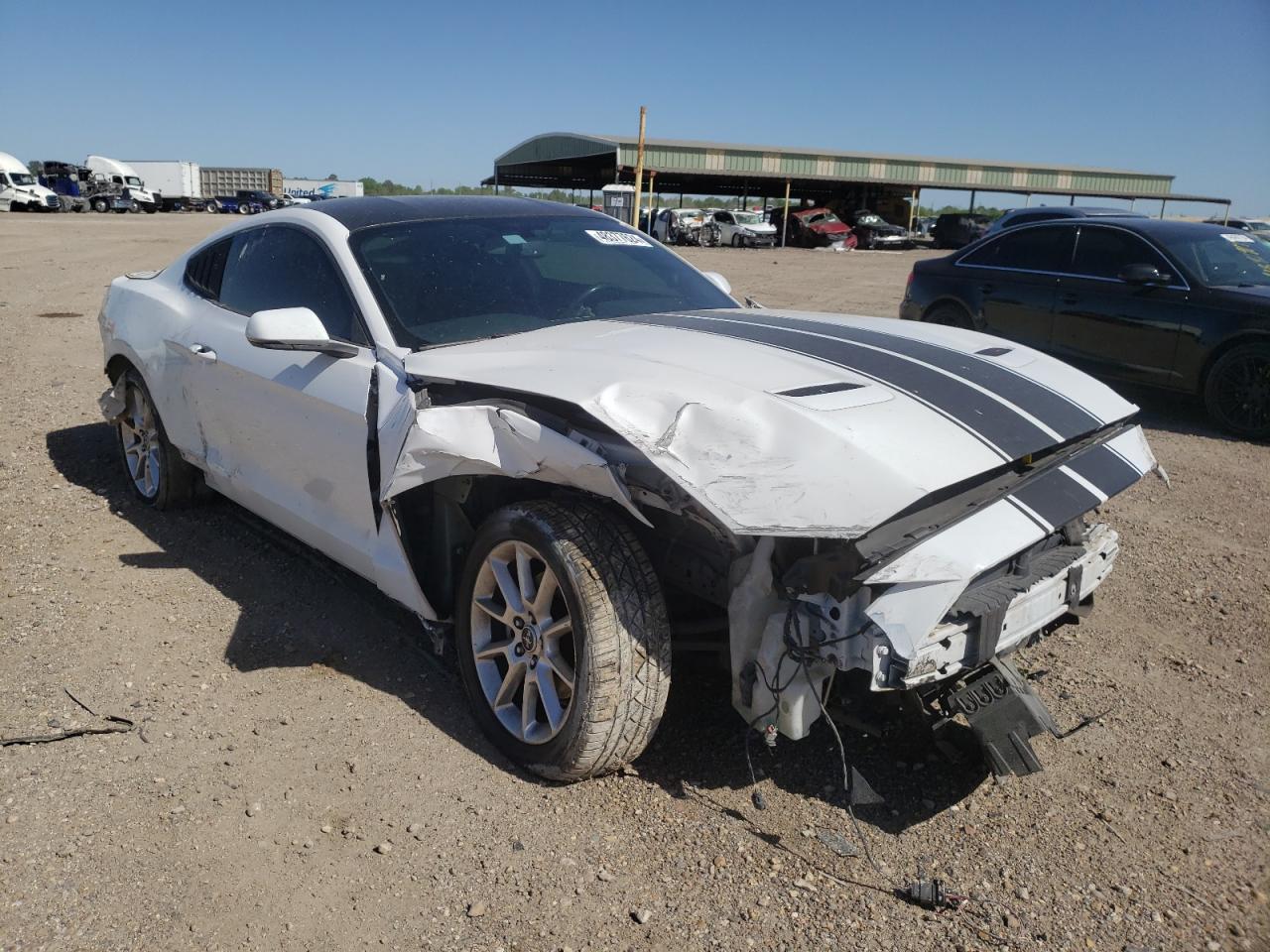 1FA6P8TH7K5159504 2019 Ford Mustang