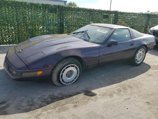 1993 Chevrolet Corvette VIN: 1G1YY23P4P5104139 Lot: 46425594