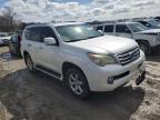 LEXUS GX 460 снимка