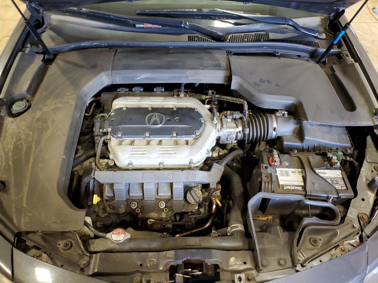 19UUA8F21DA006025 2013 Acura Tl