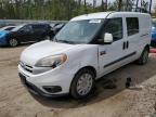 RAM PROMASTER photo