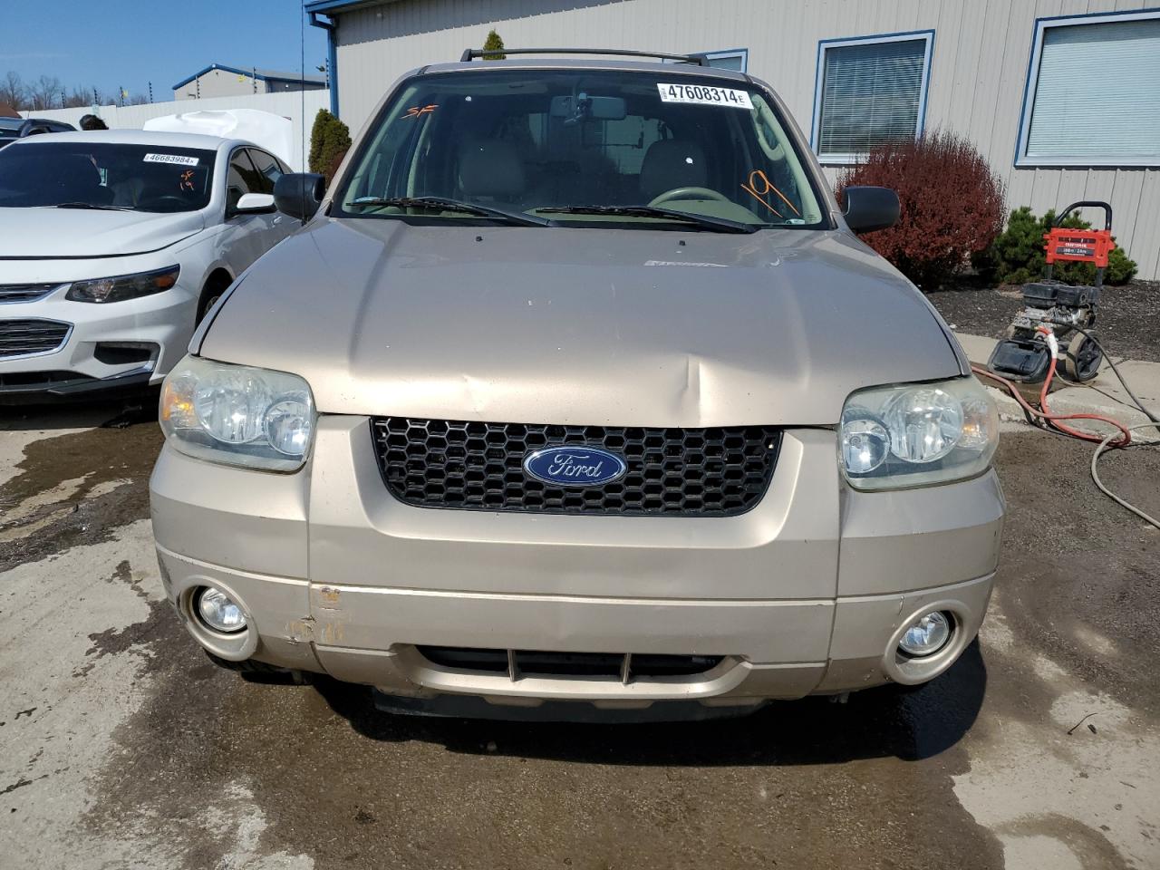 Lot #2599053758 2007 FORD ESCAPE LIM