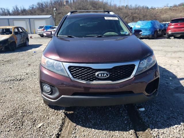 2012 Kia Sorento Base VIN: 5XYKTDA65CG254229 Lot: 49826064