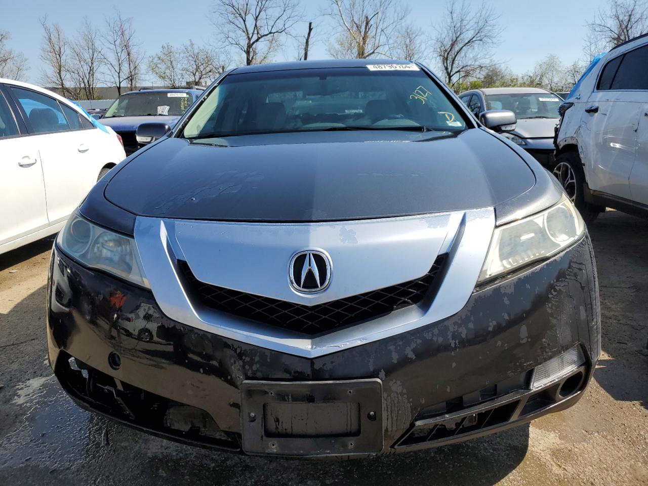 19UUA8F21BA007446 2011 Acura Tl