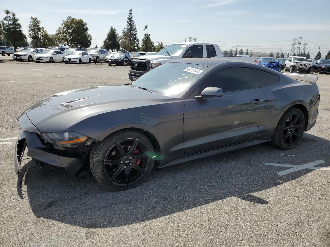 1FA6P8TH4K5169164 2019 Ford Mustang