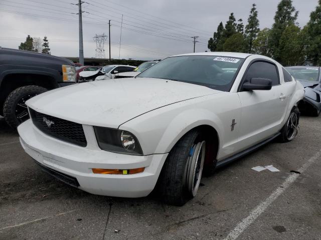 2007 Ford Mustang VIN: 1ZVFT80N575303040 Lot: 46718944