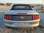 FORD MUSTANG photo