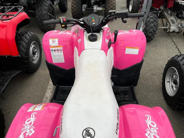 2007 POLARIS PHOENIX 20 - 4XAPB20A07T024361