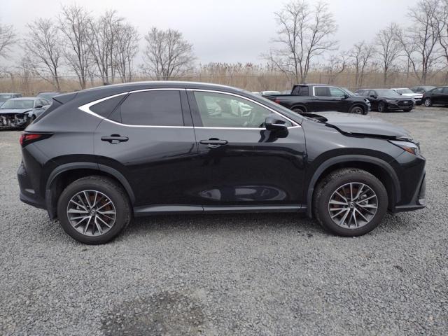 2022 LEXUS NX 250 JTJADCAZ6N2001315