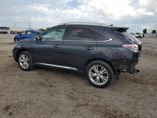 2010 Lexus Rx 450 VIN: JTJBC1BA1A2009059 Lot: 54176514