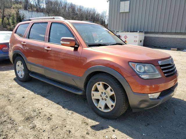 2009 Kia Borrego Lx VIN: KNDJH741395025029 Lot: 47795634