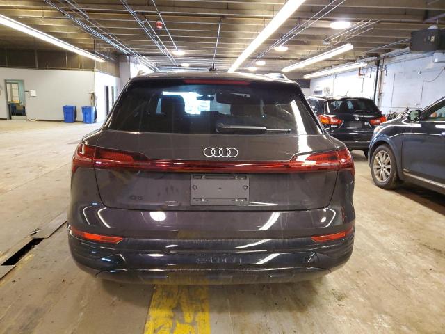 WA15AAGE6RB016550 Audi Q8 E-Tron  6