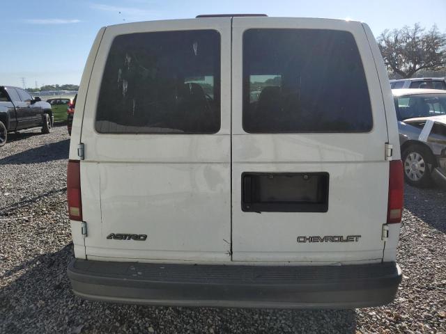 2003 Chevrolet Astro VIN: 1GCDM19X33B138913 Lot: 47725454